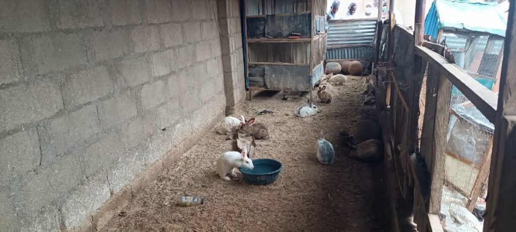 Kaduna Hosts North-West Livestock Quality Assurance Training FB IMG 1782911890069