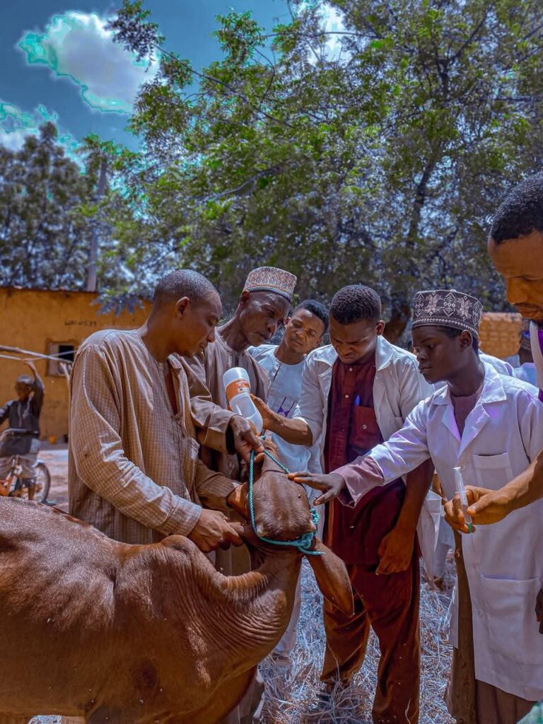 ABCOAD Mobile Veterinary Clinic Treats 230 Animals in Kano FB IMG 1783540045551