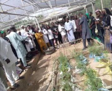 NBRDA Unveils Innovative Solutions for Agric, Renewable Energy FB IMG 1784223882026
