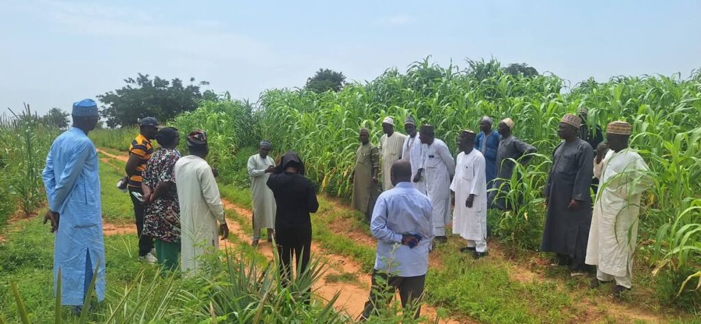 IITA, ACReSAL Target Stronger Agricultural Value Chains in Katsina FB IMG 1787233902206