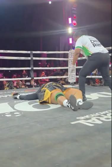 Phyna Knocks Out Nkechi Blessing in Celebrity Boxing Fight FB IMG