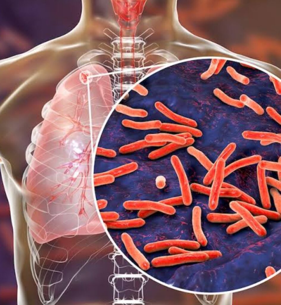 Screenshot 20260306 164114 Google