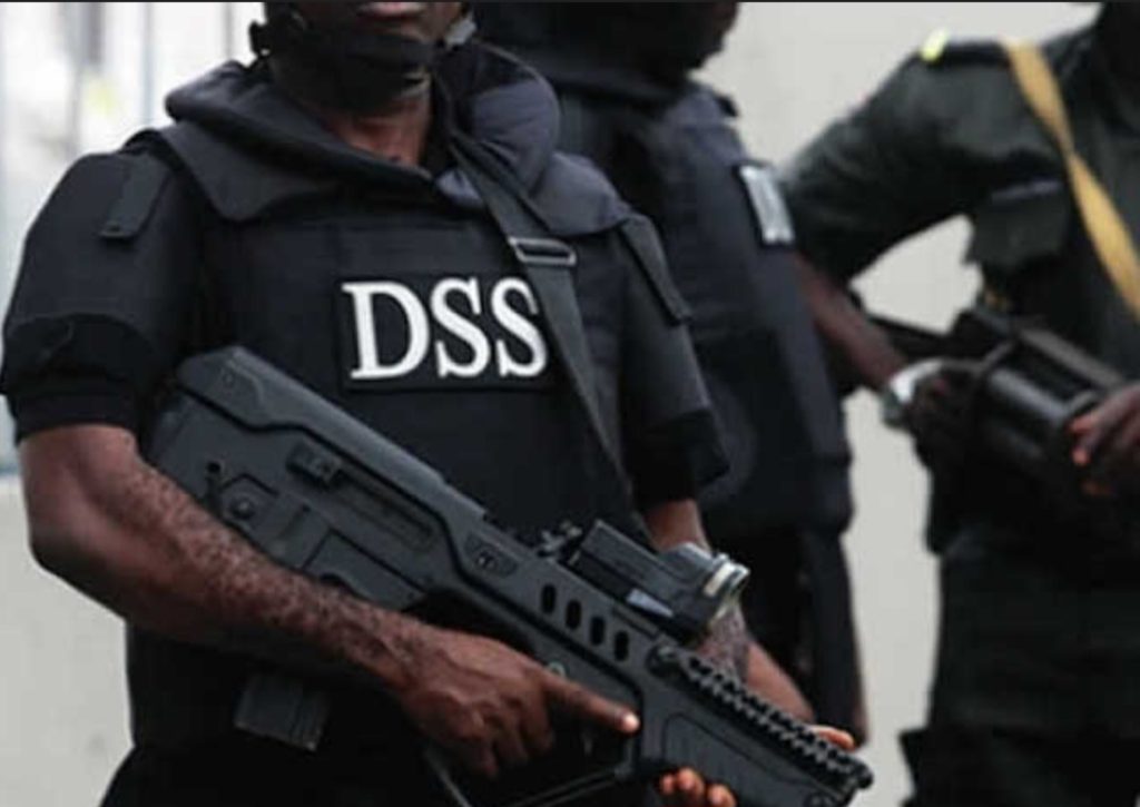 DSS Arrests Ex-Lawmaker Over Alleged False Intelligence to Foreign Missions Screenshot 20260413 090919 Google