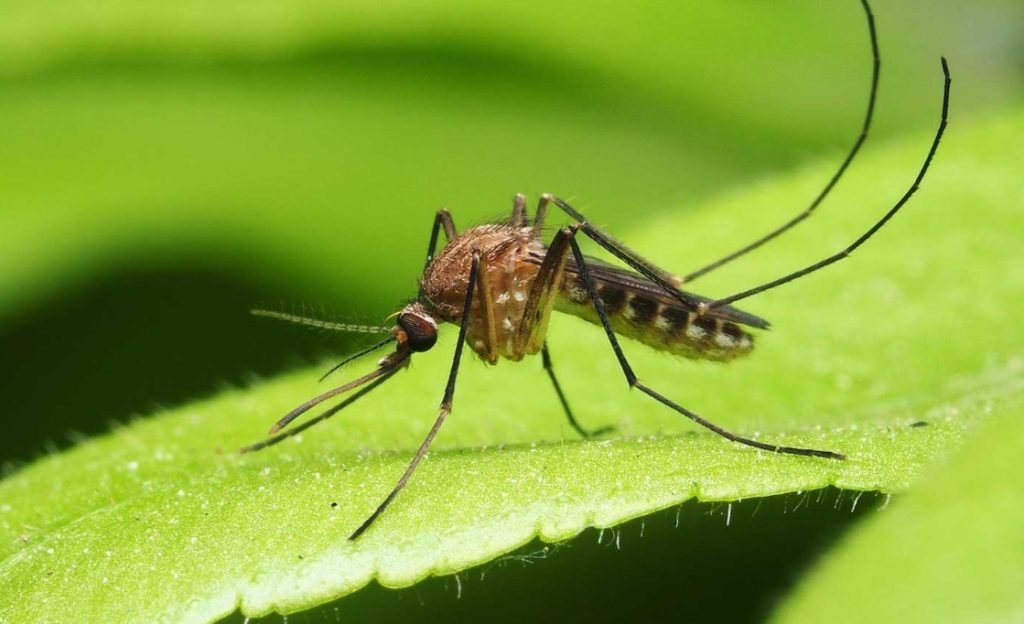 Screenshot 20260427 125552 Google