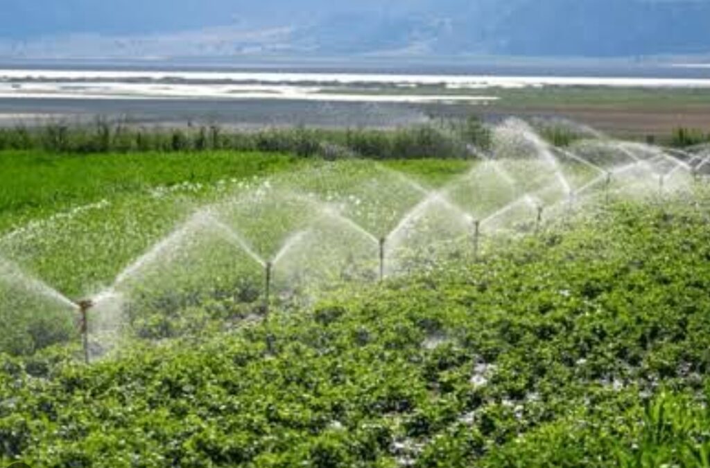 FG’s 5,000-Hectare Kano Irrigation Scheme Will Enhance Food Security- Abdulaziz Screenshot 20260707 175758 Google