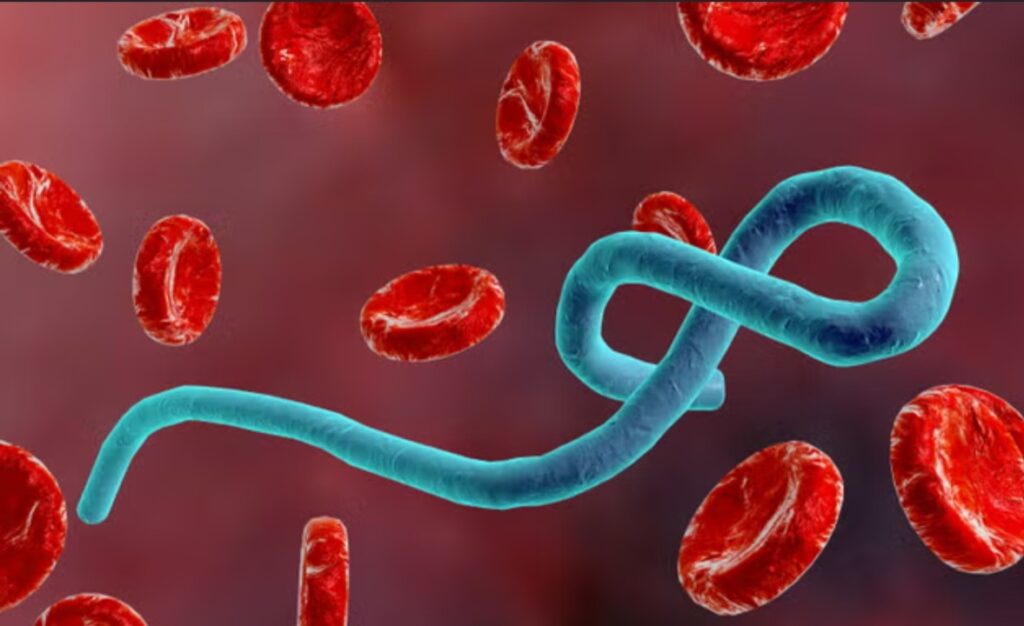 Uganda Declared Ebola-Free Amid Ongoing Outbreak in DR Congo Screenshot 20260728 212345 Google
